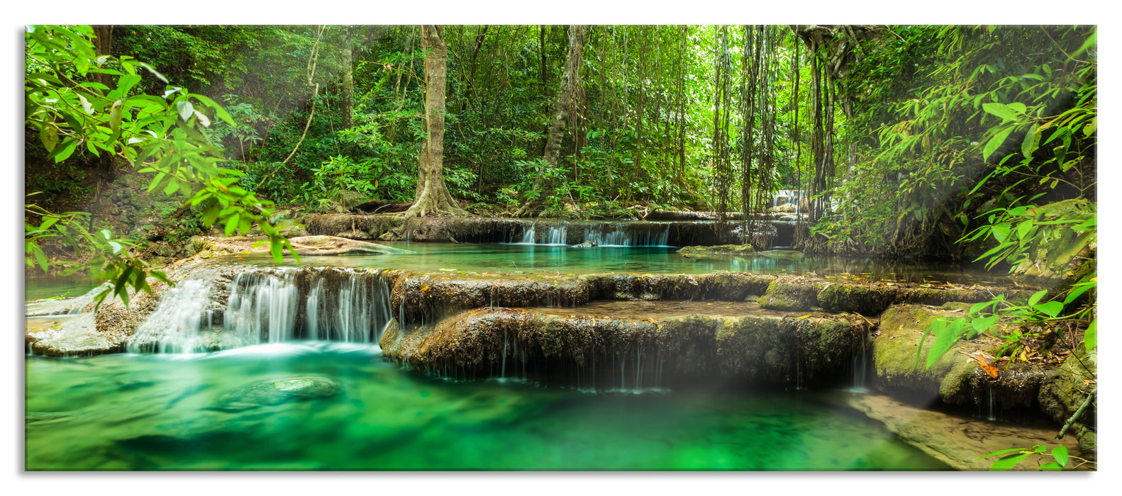 Pixxprint Tropischer Fluss, Glasbild Panorama