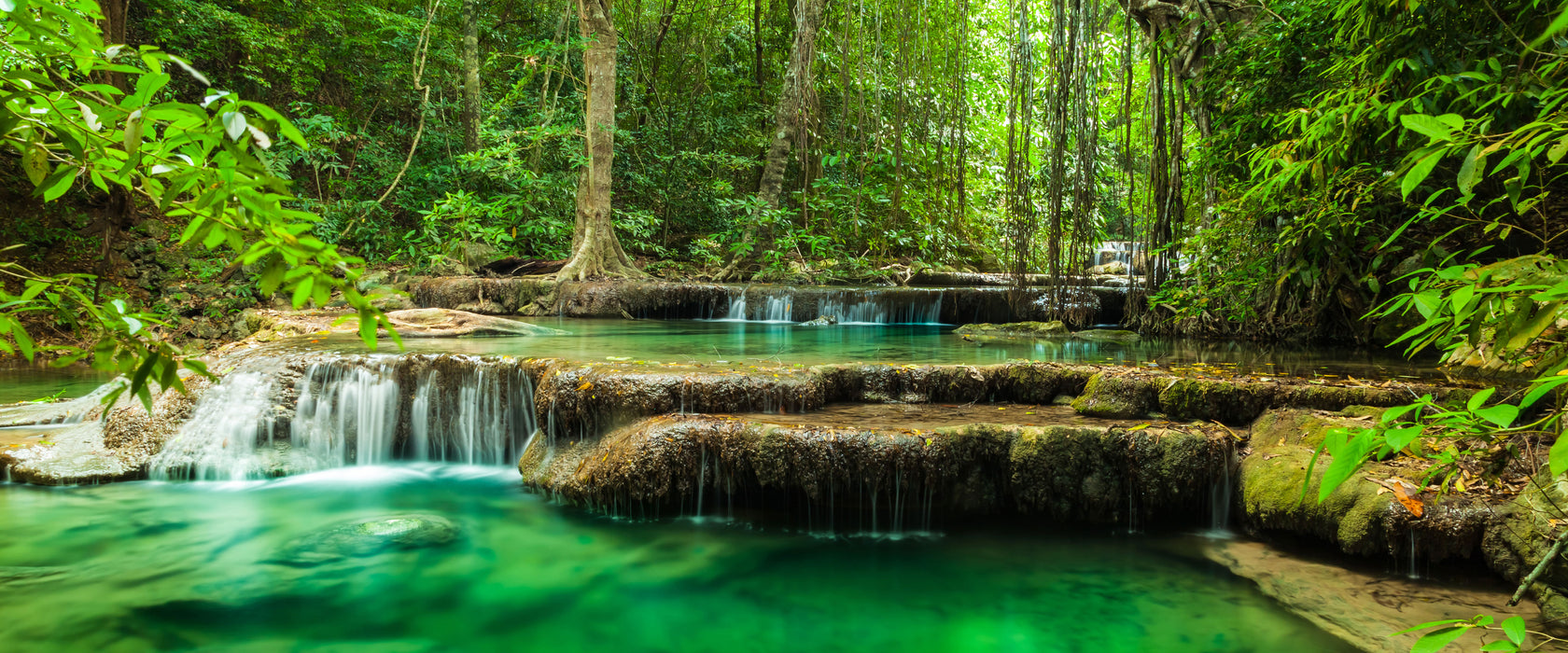 Tropischer Fluss, Glasbild Panorama