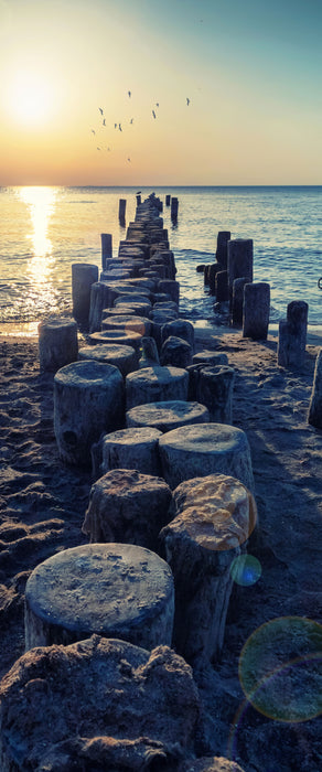 Baumstümpfe am Meer, Glasbild Panorama