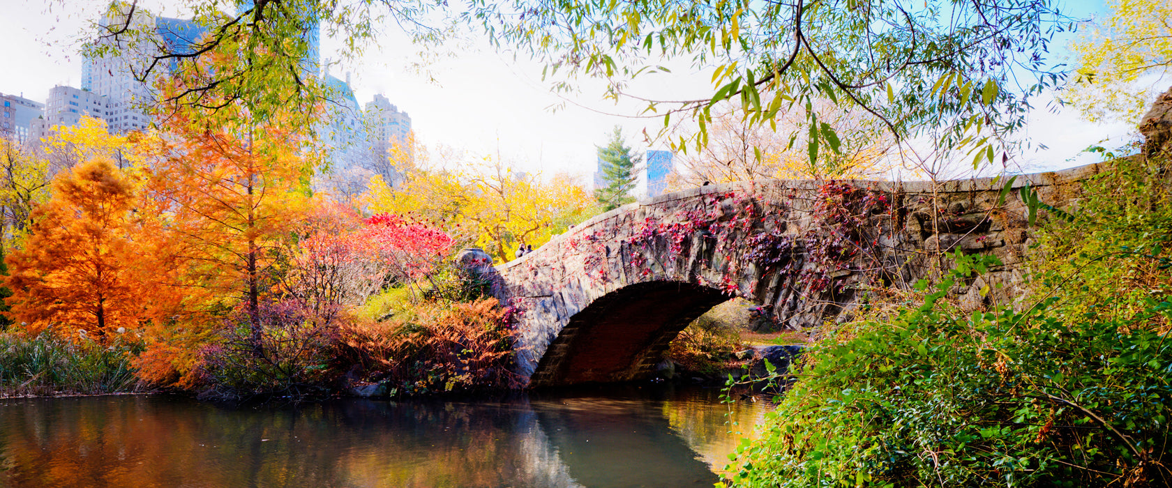 Brücke im Central Park, Glasbild Panorama