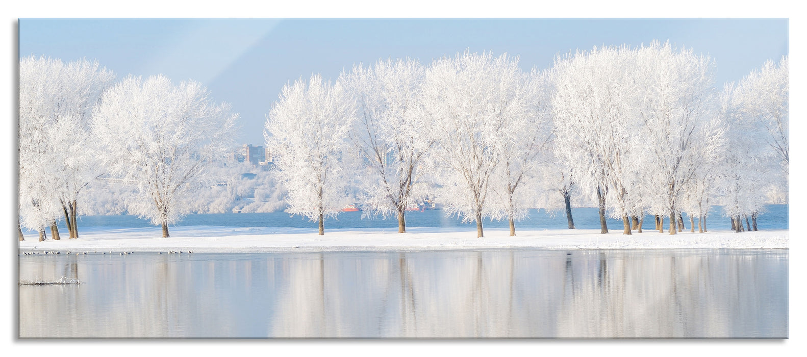 Pixxprint Schneebedeckte Bäume im Winter, Glasbild Panorama