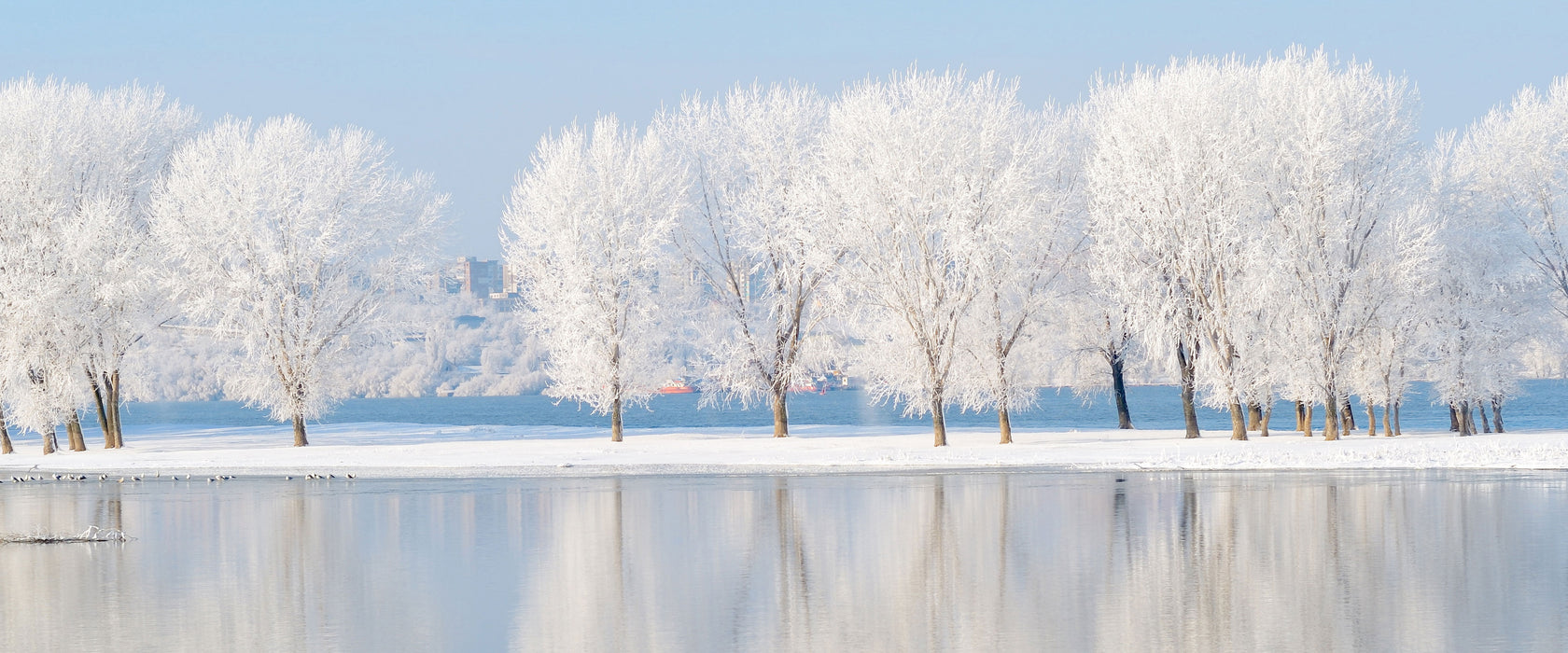 Schneebedeckte Bäume im Winter, Glasbild Panorama