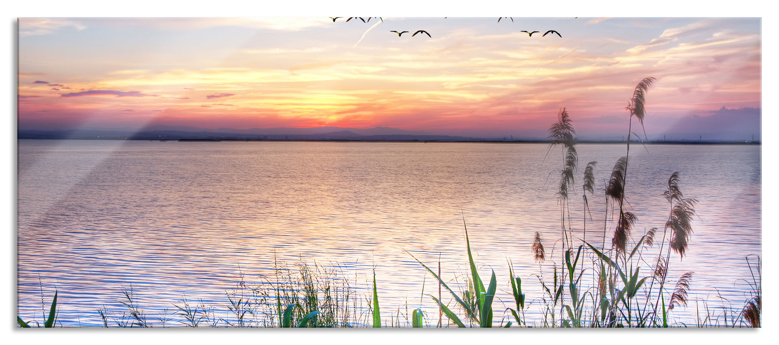 Pixxprint Steg mit Ausblick aufs Meer, Glasbild Panorama