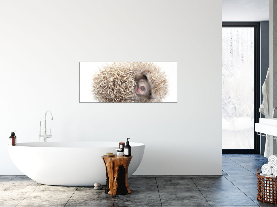 kleiner niedlicher Baby Igel, Glasbild Panorama