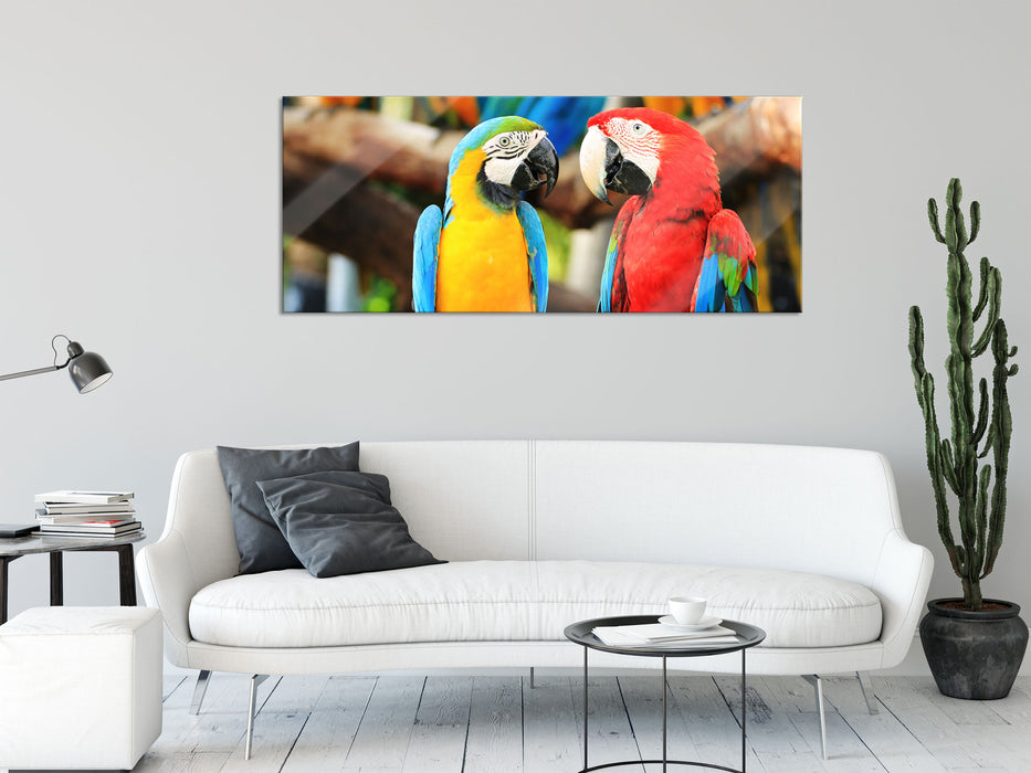 Zwei Papageien auf einem Ast, Glasbild Panorama