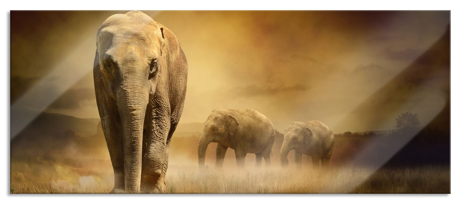 Pixxprint Prächtiger Elefanten in Steppe, Glasbild Panorama