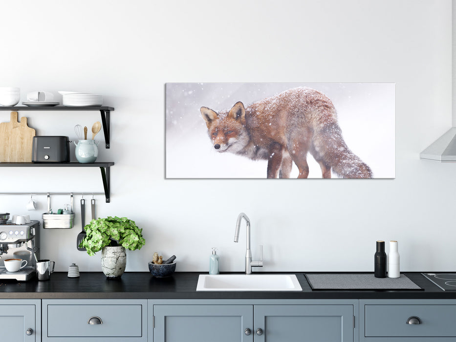 Roter Fuchs im Schneegestöber, Glasbild Panorama