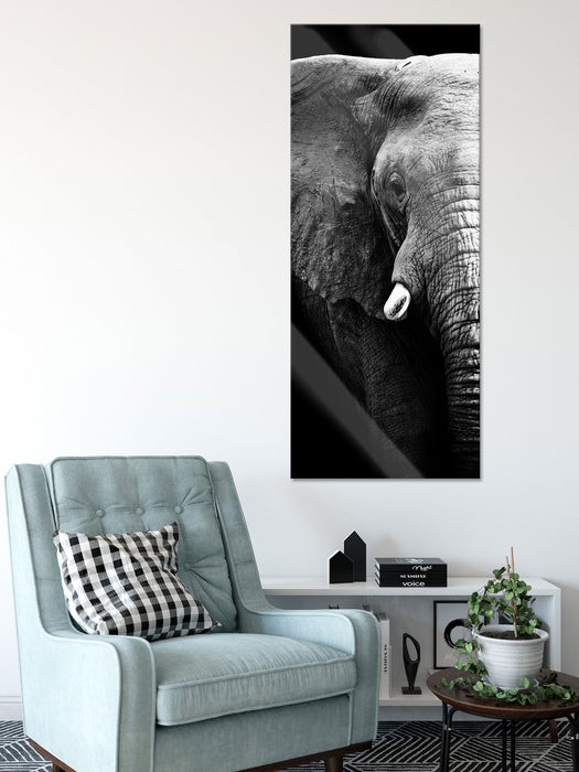 Elefant Porträt, Glasbild Panorama