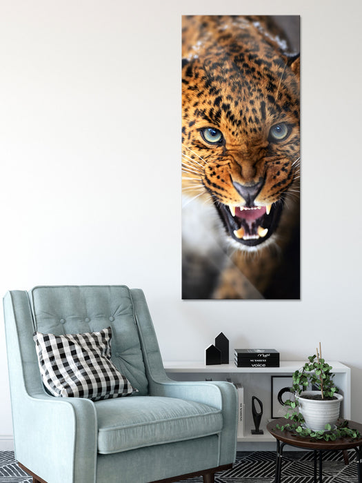 Fauchender Leopard, Glasbild Panorama