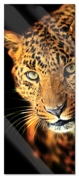 Pixxprint Anmutiger Leopard, Glasbild Panorama