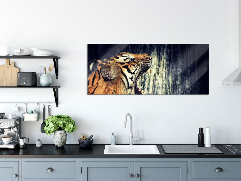 Brüllender Tiger, Glasbild Panorama