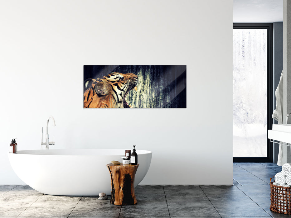 Brüllender Tiger, Glasbild Panorama