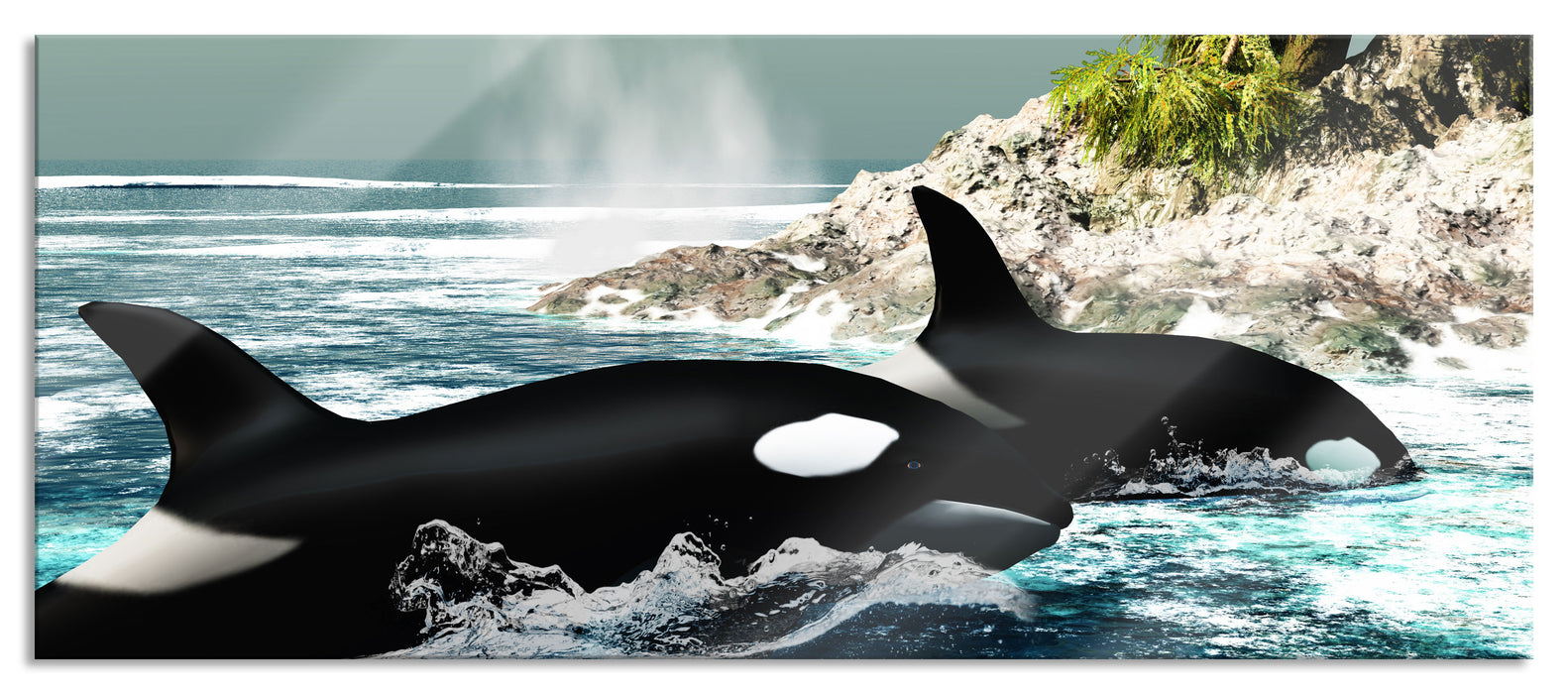 Pixxprint Orcas vor Insel, Glasbild Panorama