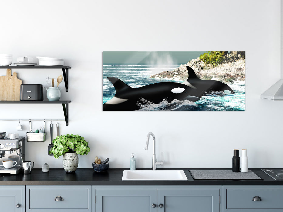 Orcas vor Insel, Glasbild Panorama