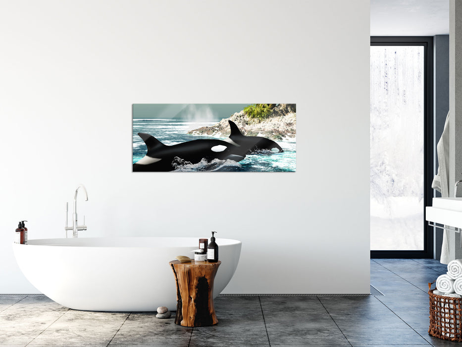 Orcas vor Insel, Glasbild Panorama