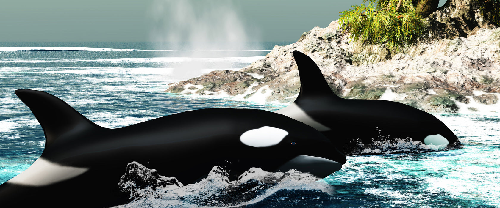 Orcas vor Insel, Glasbild Panorama