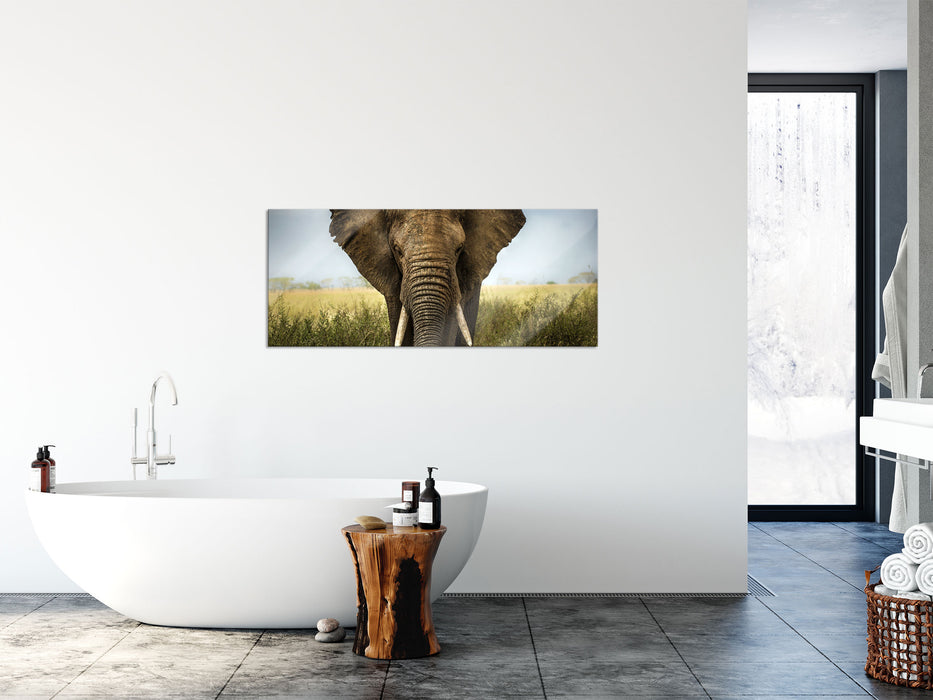 Imposanter Elefant, Glasbild Panorama