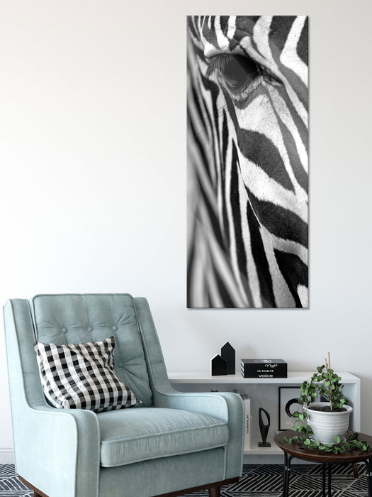 Zebra Nahaufnahme, Glasbild Panorama