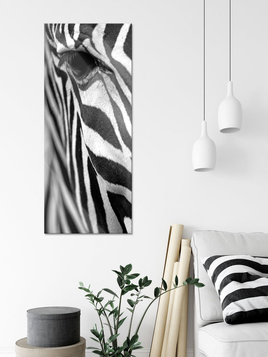 Zebra Nahaufnahme, Glasbild Panorama