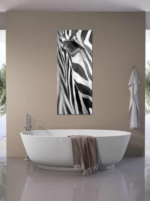 Zebra Nahaufnahme, Glasbild Panorama