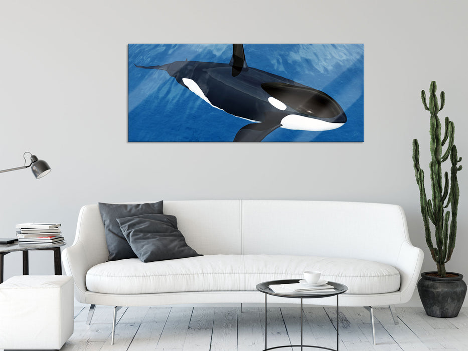 Orca im blauen Meer, Glasbild Panorama