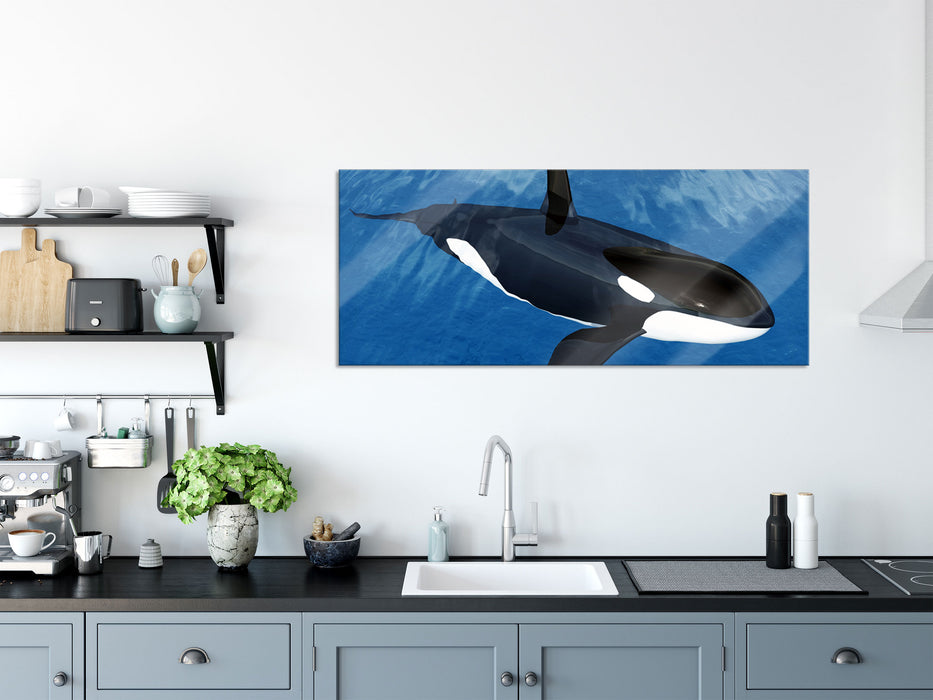 Orca im blauen Meer, Glasbild Panorama