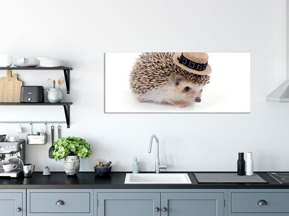 Lustiger Igel mit Hut, Glasbild Panorama