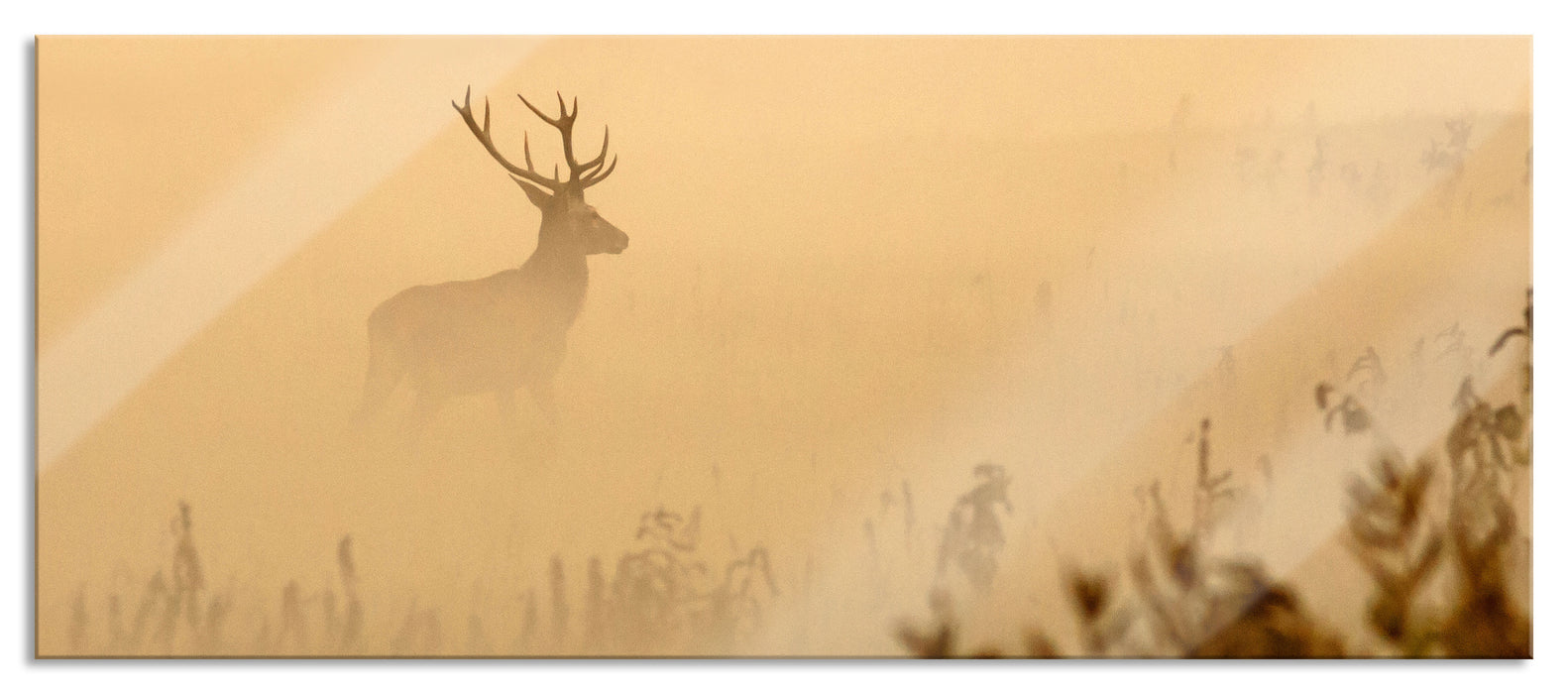 Pixxprint Hirsch im Nebel, Glasbild Panorama