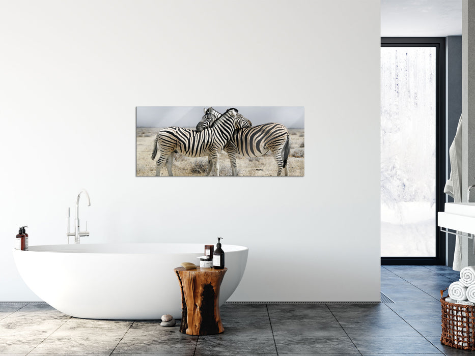 Schmusende Zebras, Glasbild Panorama