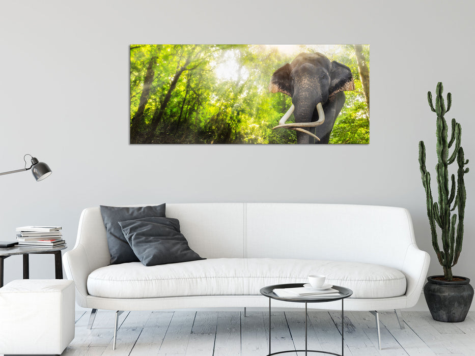 Elefant am Bach, Glasbild Panorama