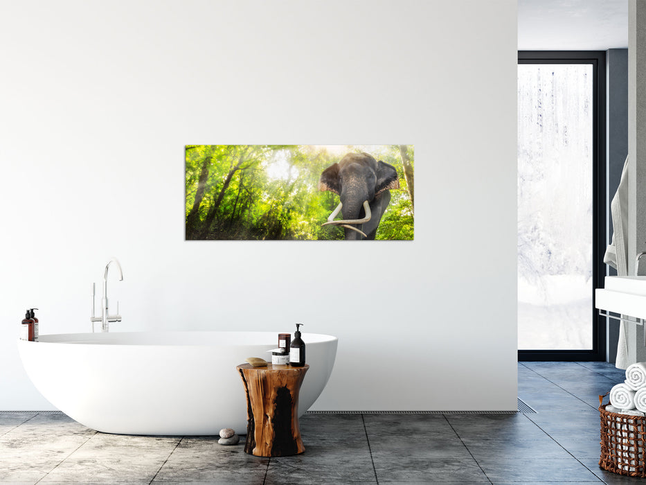 Elefant am Bach, Glasbild Panorama