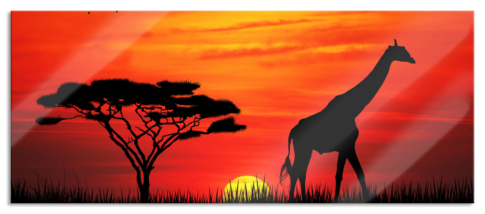 Pixxprint Giraffe im Sonnenuntergang, Glasbild Panorama