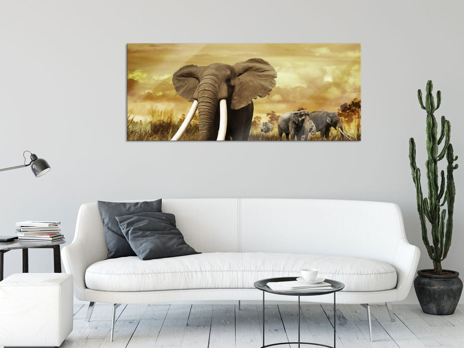 Stolzer Elefant in Savanne, Glasbild Panorama