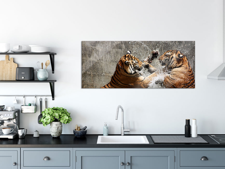 Kämpfende Tiger im Wasser, Glasbild Panorama