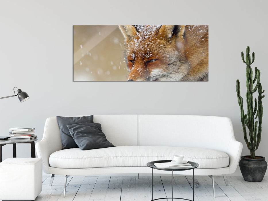 Fuchs im Schnee, Glasbild Panorama