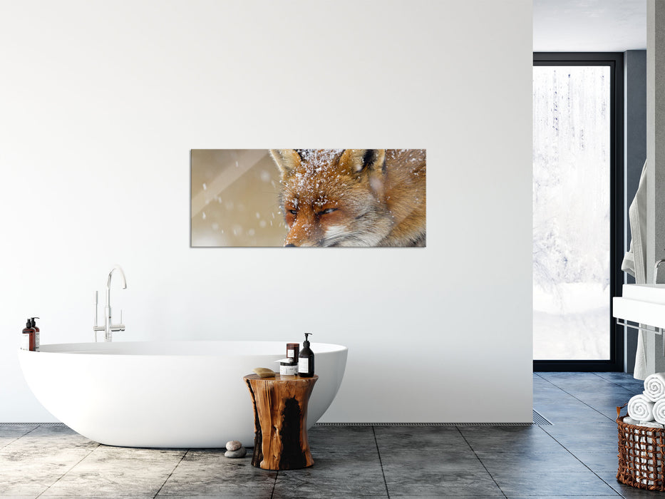 Fuchs im Schnee, Glasbild Panorama