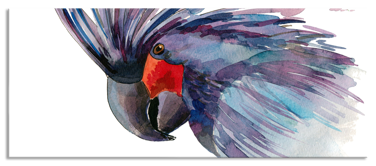 Pixxprint Exotischer Vogel Kunst, Glasbild Panorama