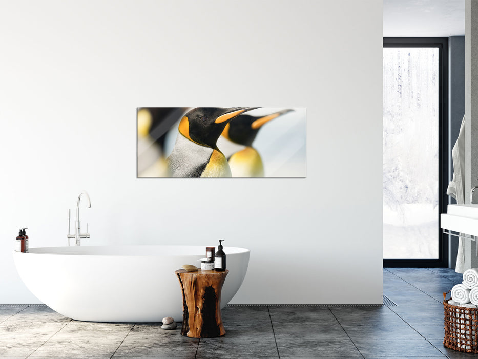 Pinguine, Glasbild Panorama