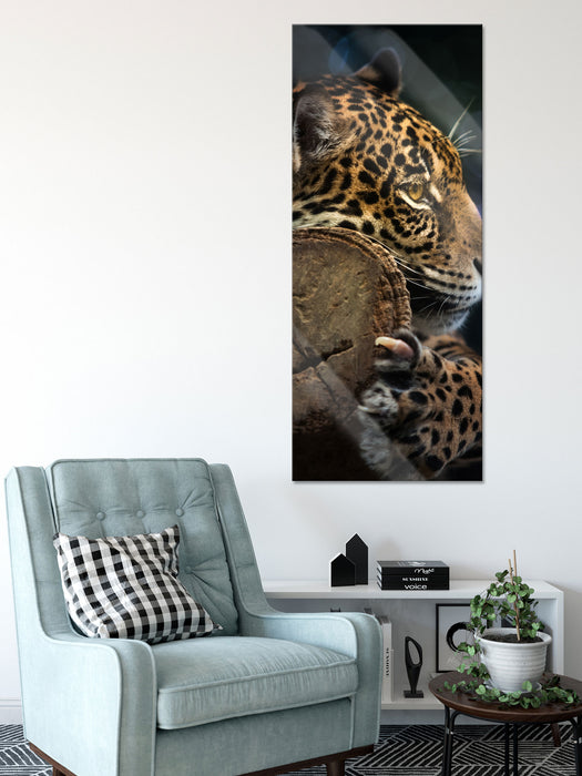 Wunderschöner Leopard, Glasbild Panorama