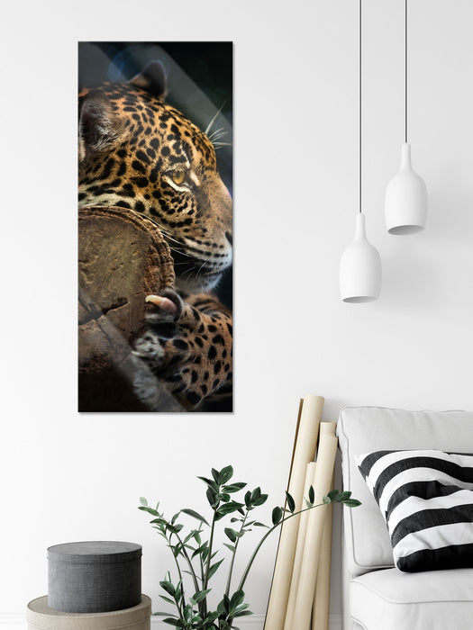 Wunderschöner Leopard, Glasbild Panorama