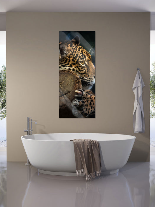 Wunderschöner Leopard, Glasbild Panorama