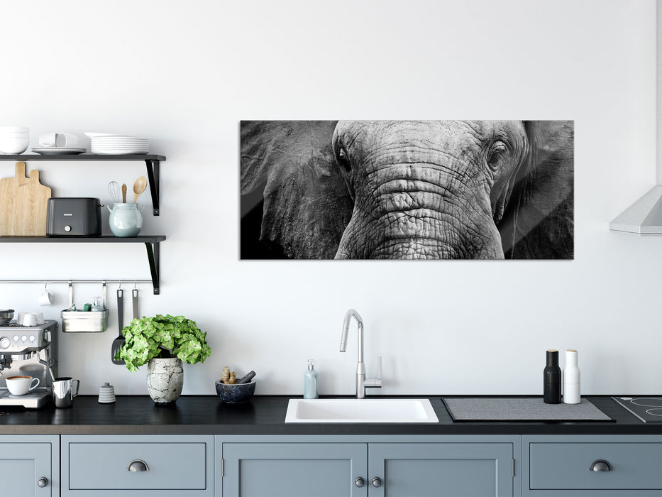 Elefant Porträt, Glasbild Panorama