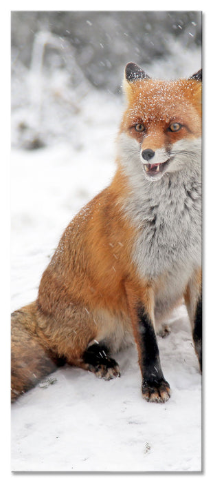 Pixxprint Fuchs im Schnee, Glasbild Panorama