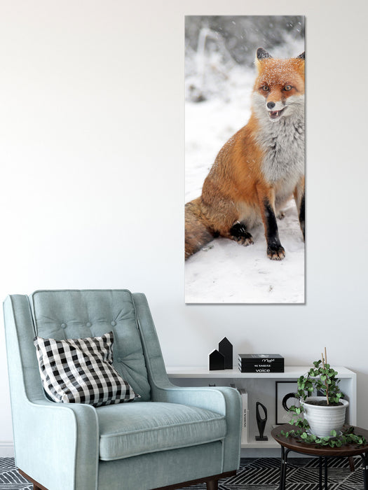 Fuchs im Schnee, Glasbild Panorama