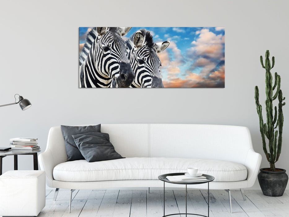 Zebra Pärchen, Glasbild Panorama