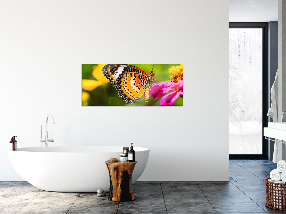 Schmetterling auf Blüte, Glasbild Panorama