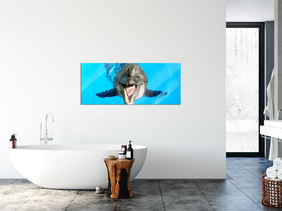 Delfin lacht, Glasbild Panorama