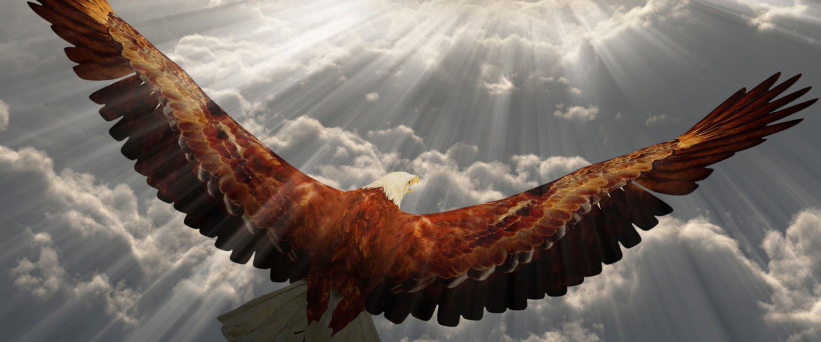 Adler über den Wolken, Glasbild Panorama