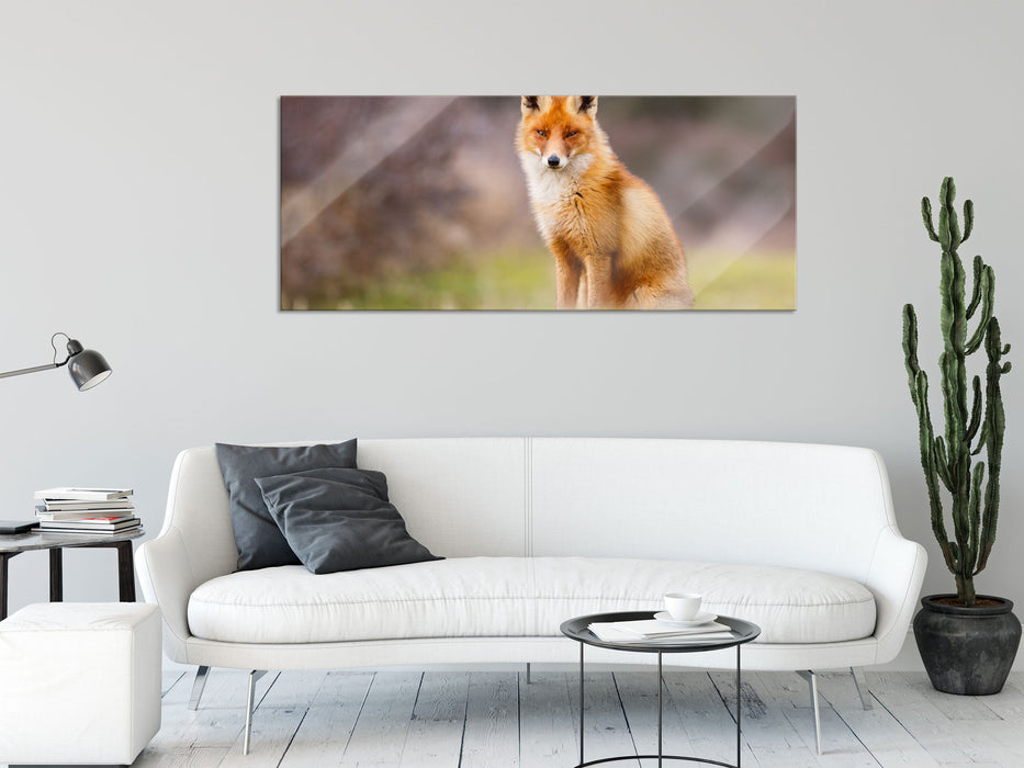 Listiger Fuchs, Glasbild Panorama