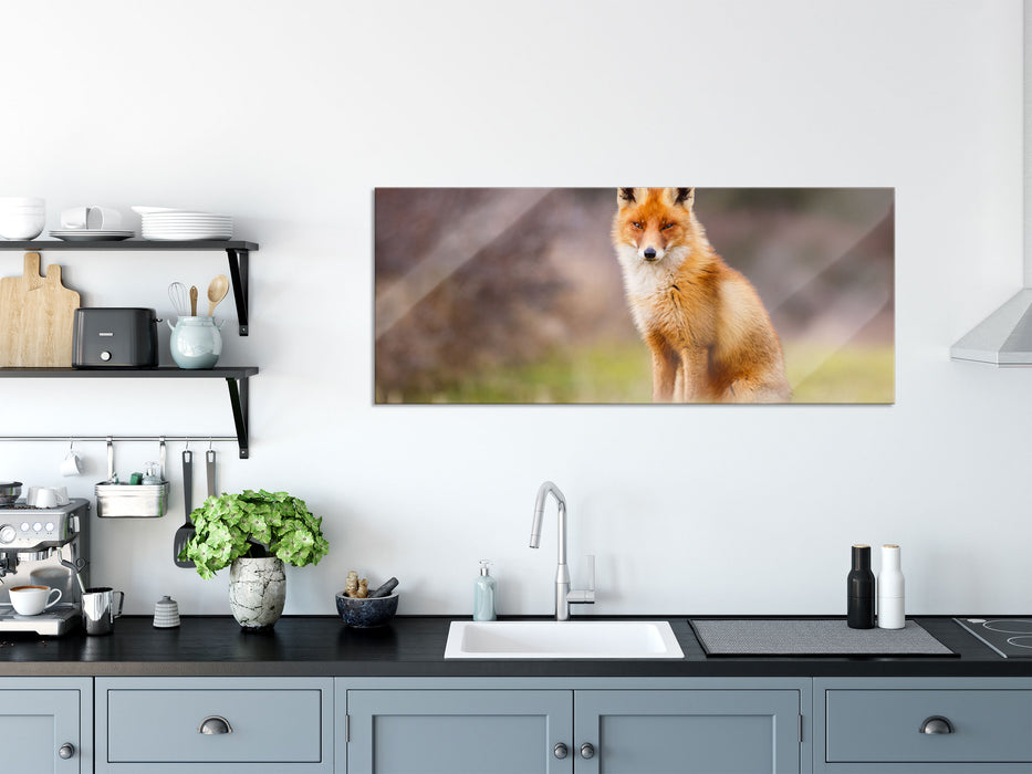 Listiger Fuchs, Glasbild Panorama